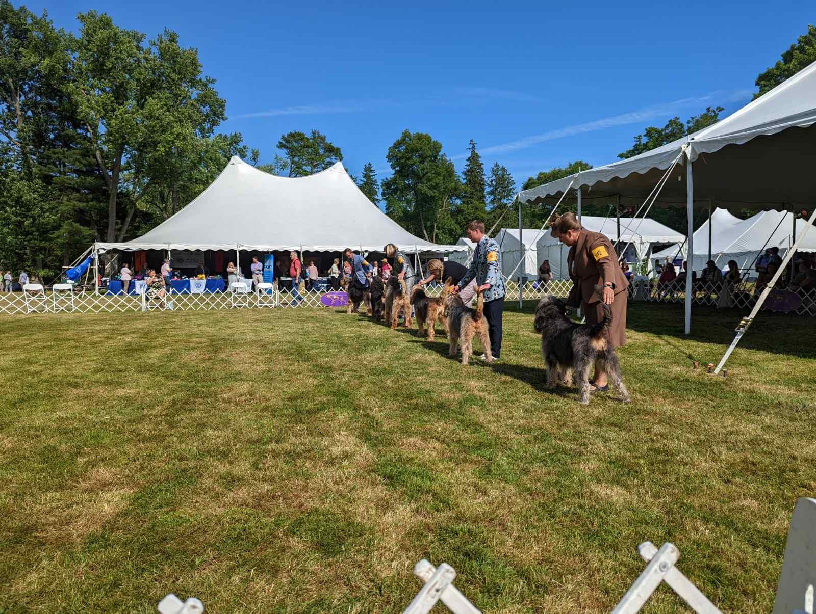 The Economic Benefits of AKC Dog Events – Showsight Magazine