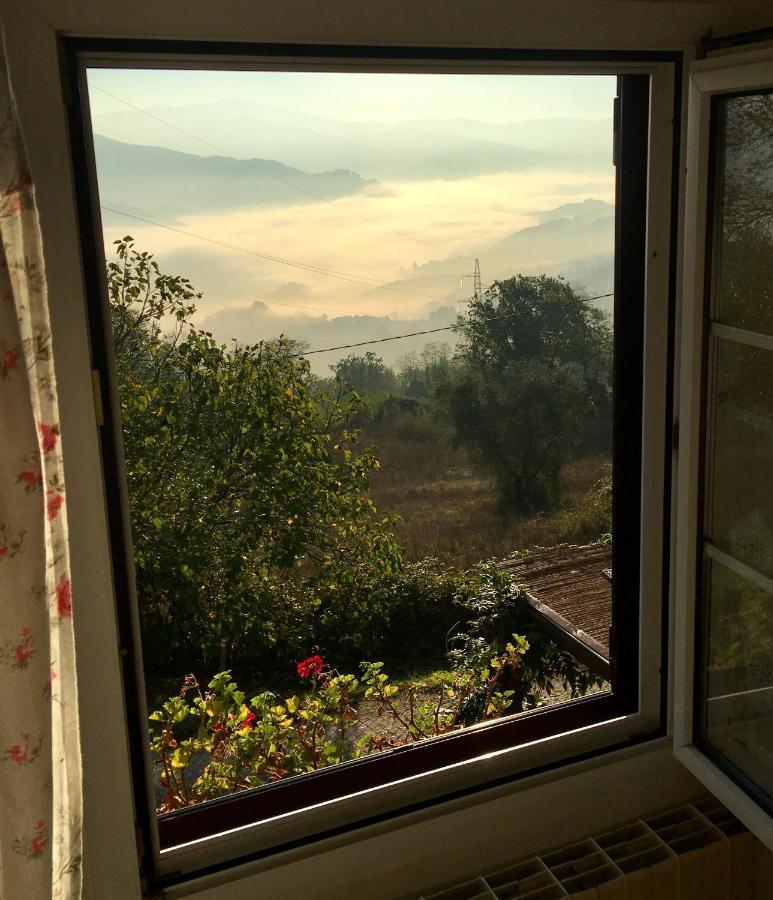King Room Mountain View