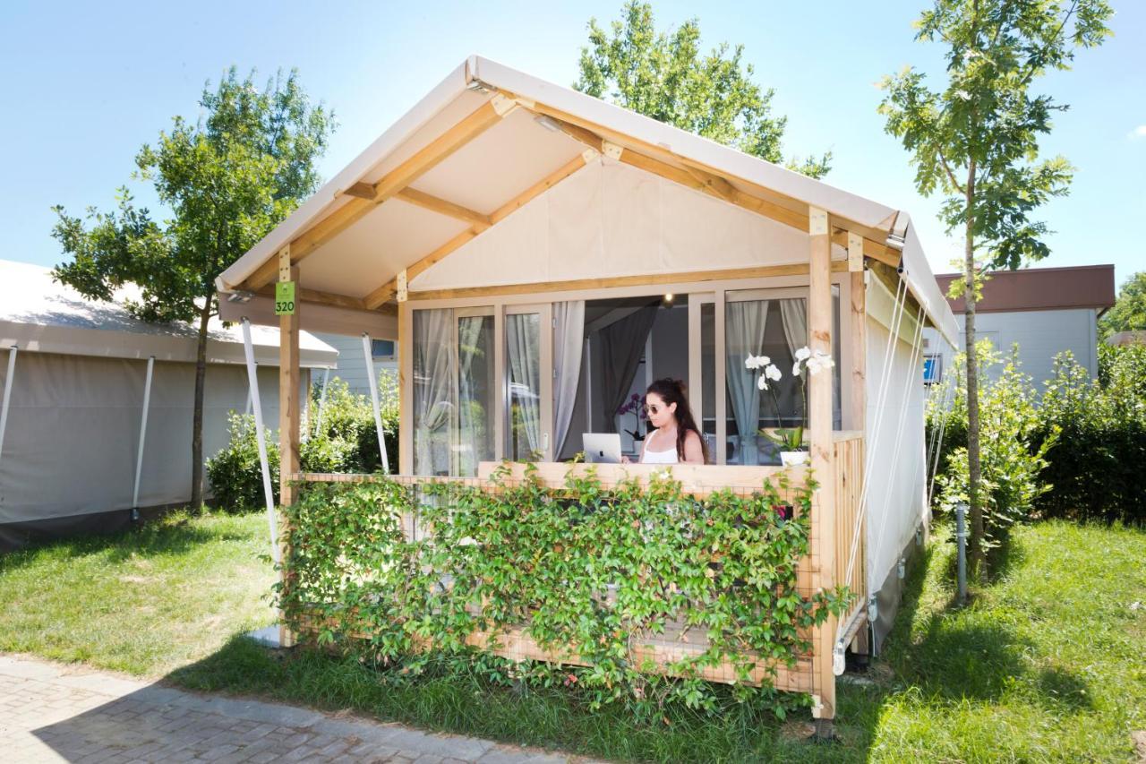 Urban Safari Tent