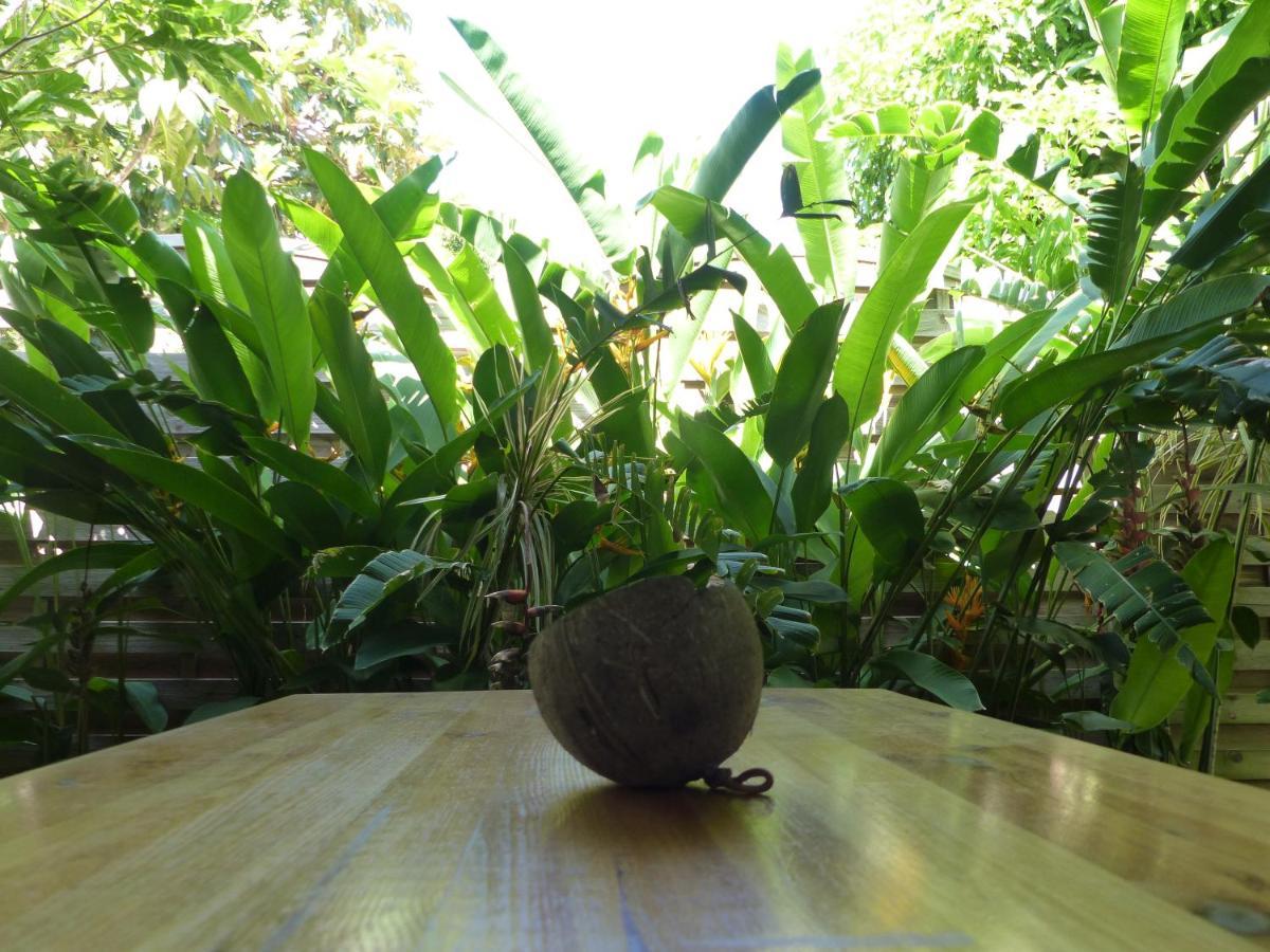 Studio Terrace