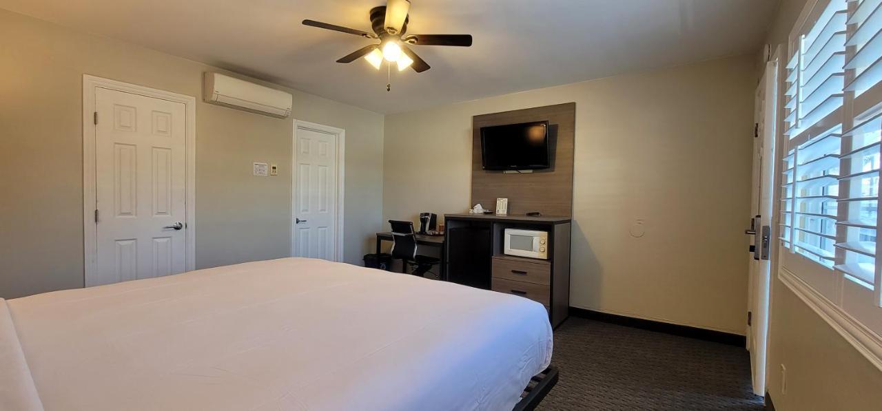 King Room,1089224698:JPEG
