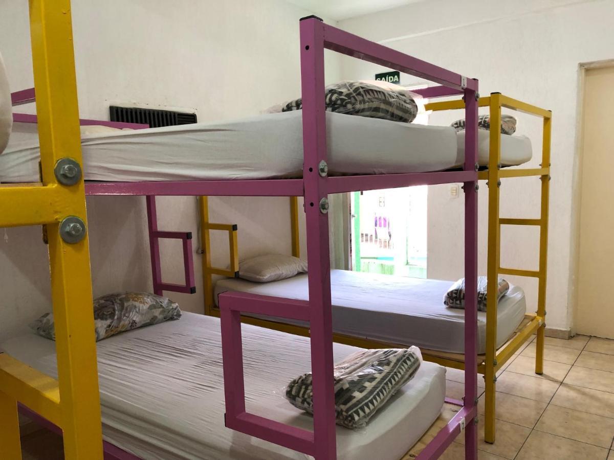 Bunk Bed Female Dormitory Room