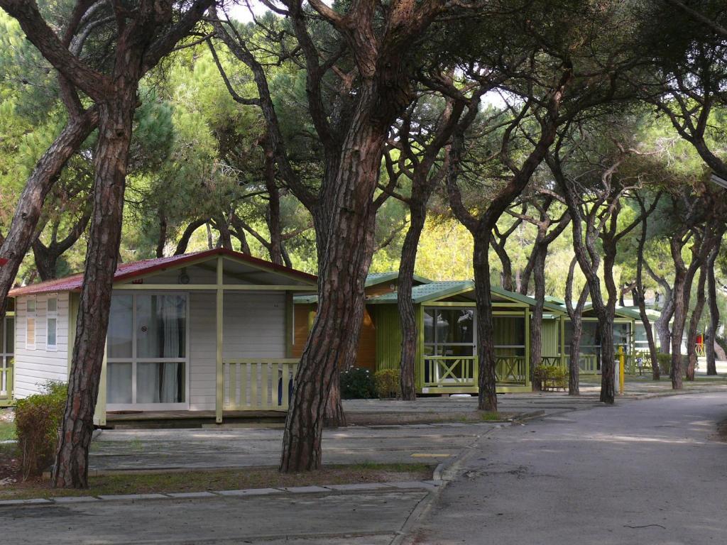 Bungalow