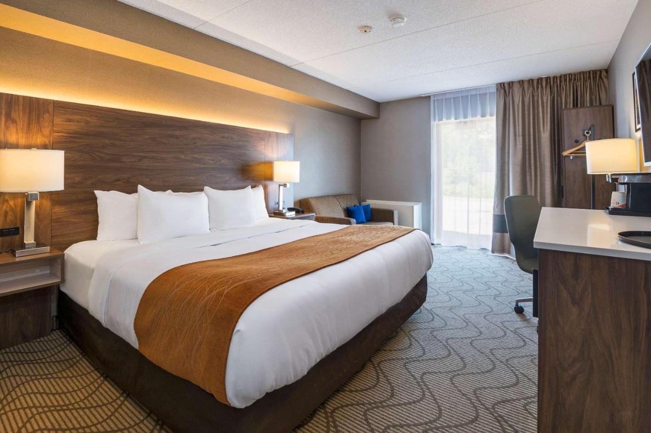 Queen Room with Sofa Bed - Ground Floor/Non-Smoking