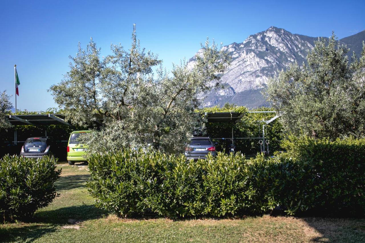 Appartement - Begane Grond