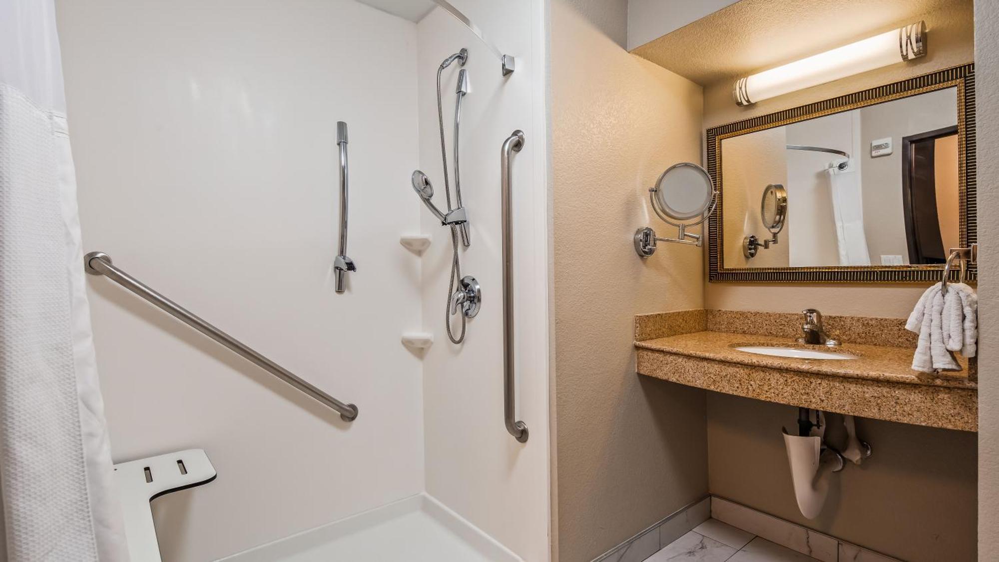 King Room Shower Disability Access or Non-Smoking