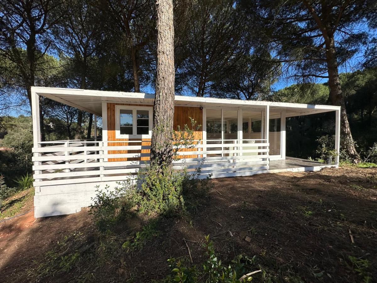 Superior Bungalow,1350360829:JPEG