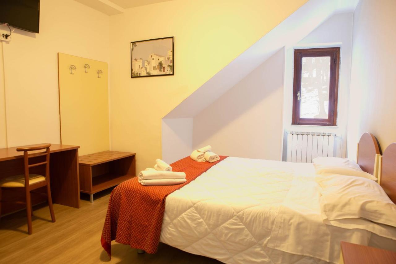 Large Double or Twin Room