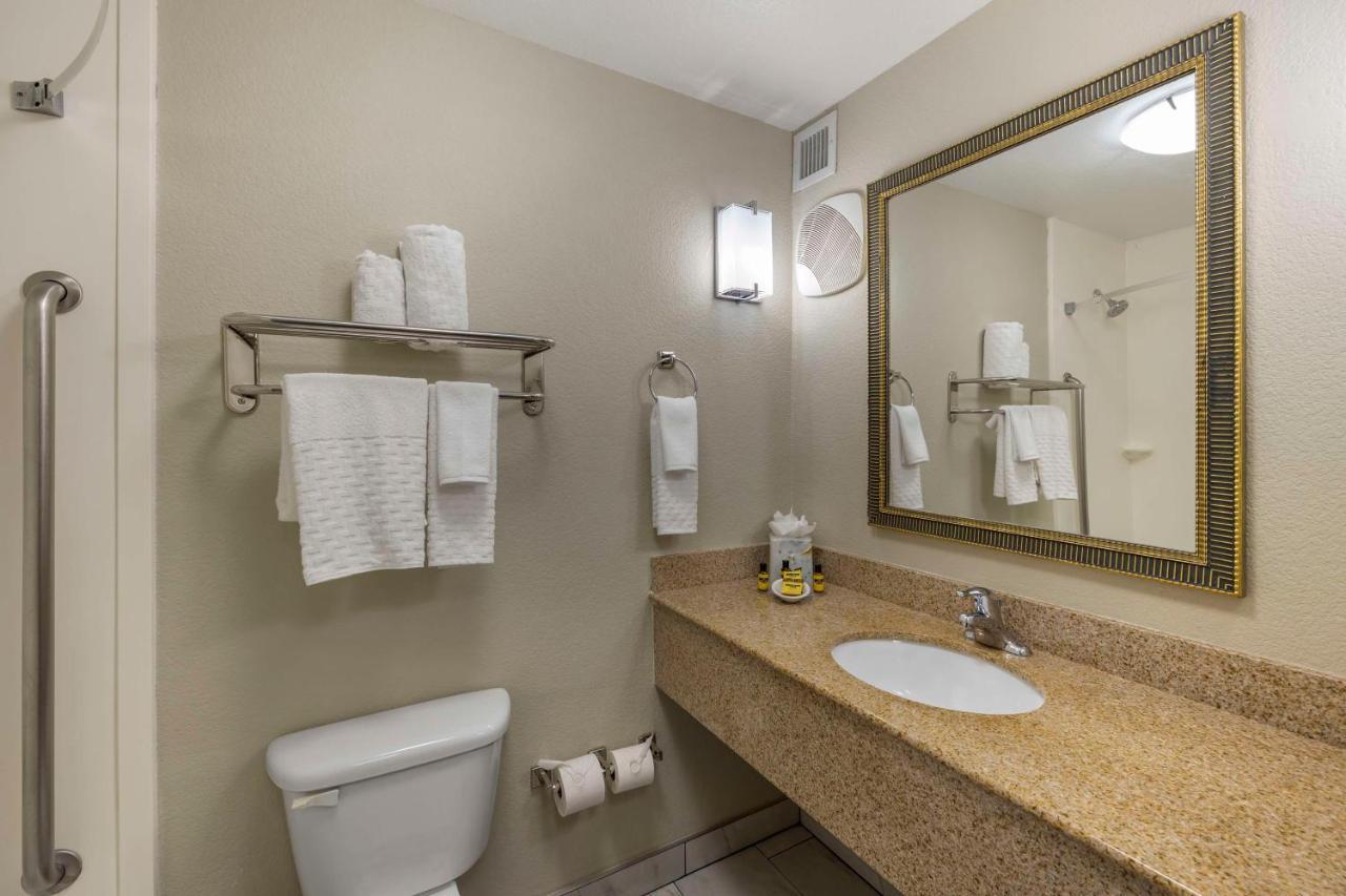 King Room Shower Disability Access or Non-Smoking