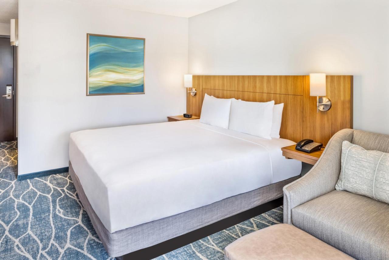 King Room Sofa Bed Mountain View