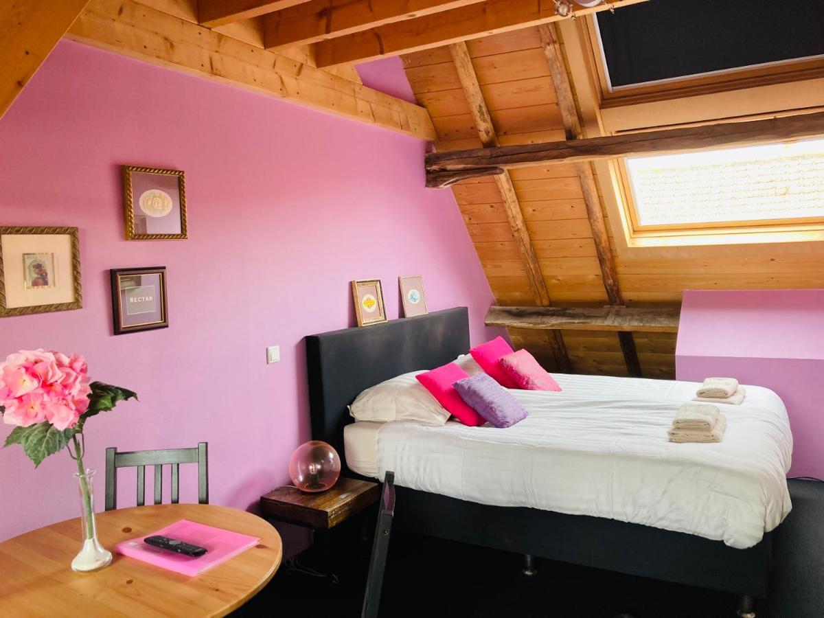 Quadruple Room,1046627245:JPEG
