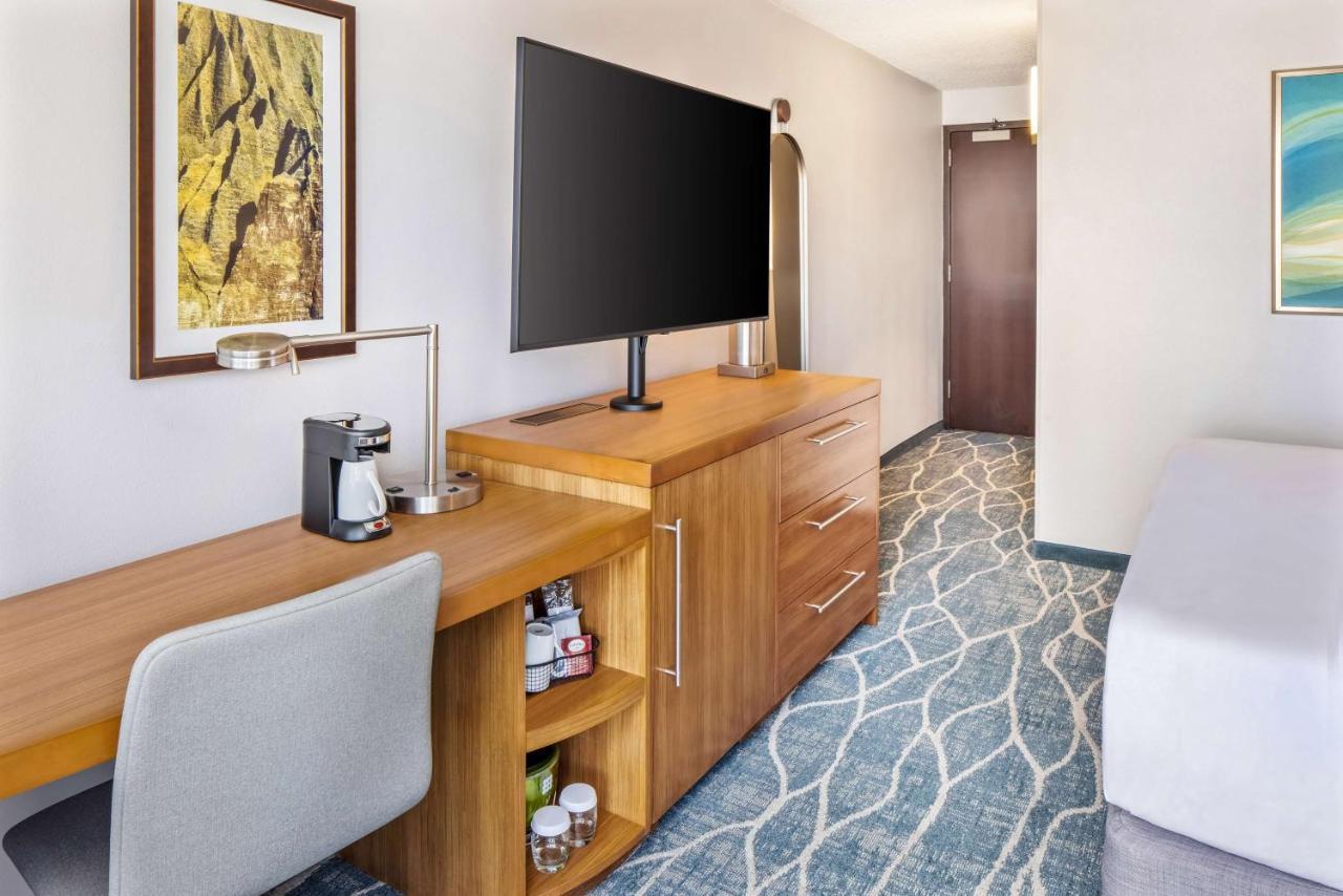 King Room Sofa Bed Mountain View