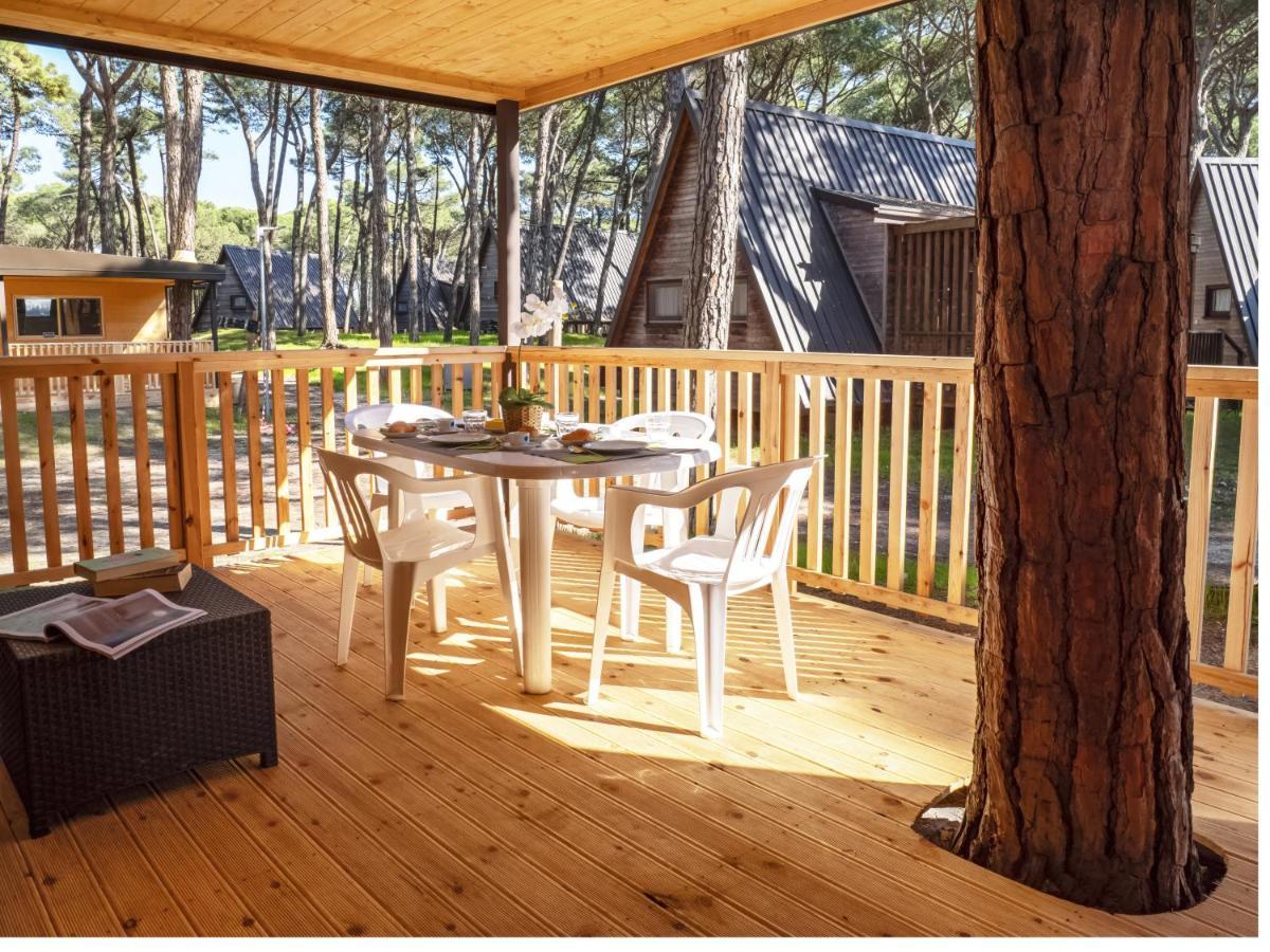 Superior Bungalow - Pet allowed
