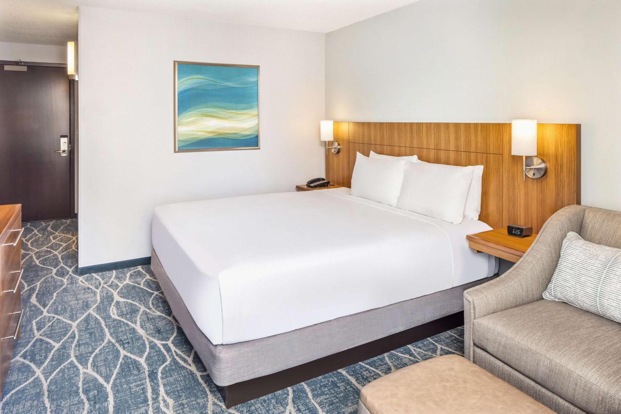 King Room Sofa Bed Mountain View