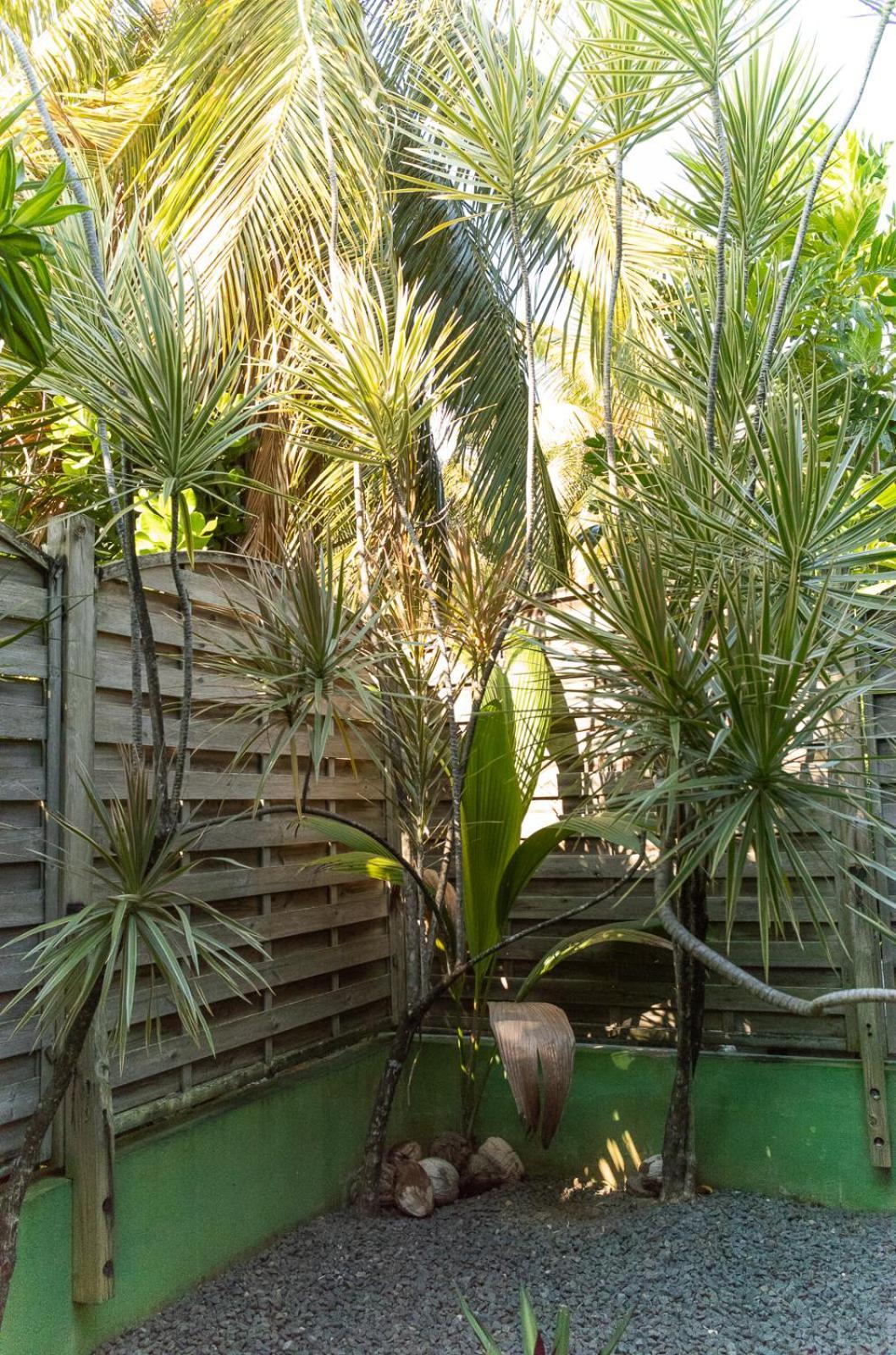 Studio Terrace