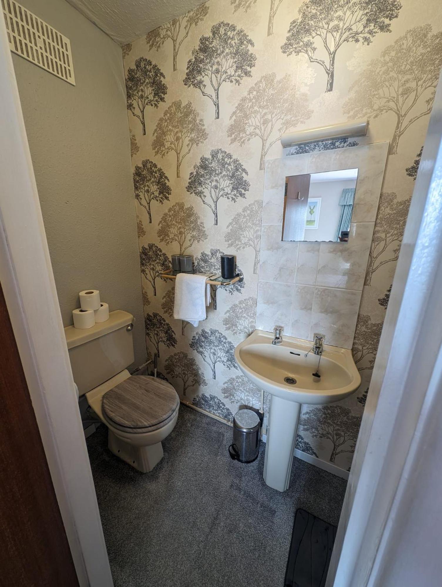 Family Room Private Bathroom,1590371338:JPEG