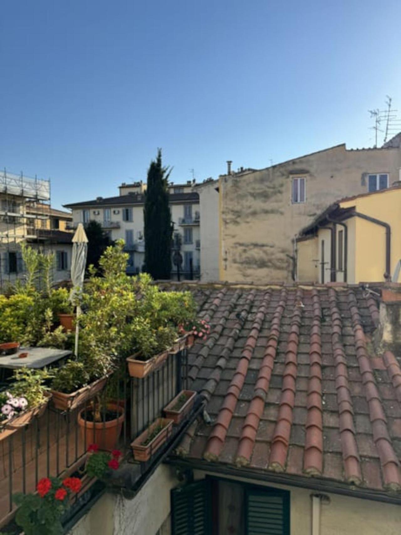 Suite Terrace