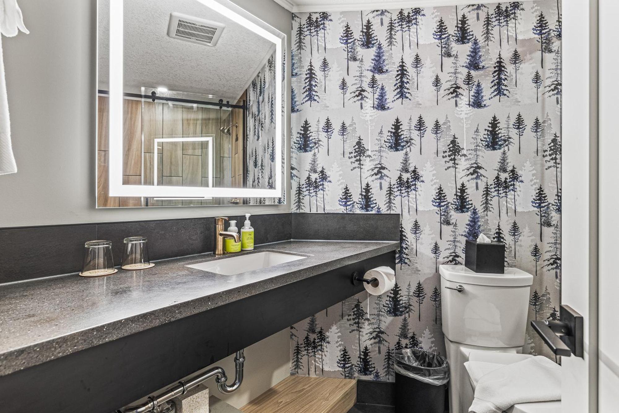 King Suite Spa Not Not Pet Friendly