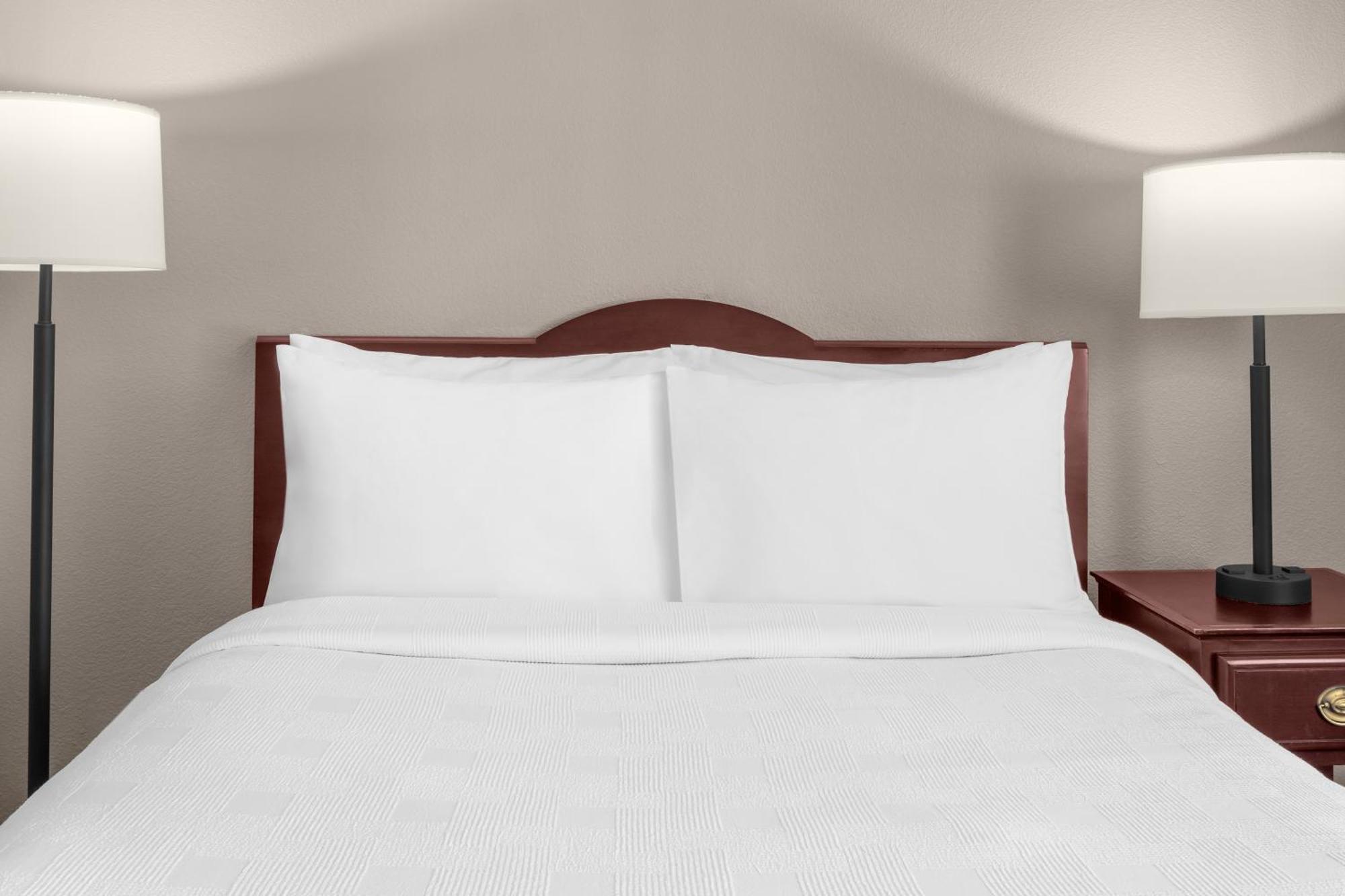 Studio Suite Queen Bed