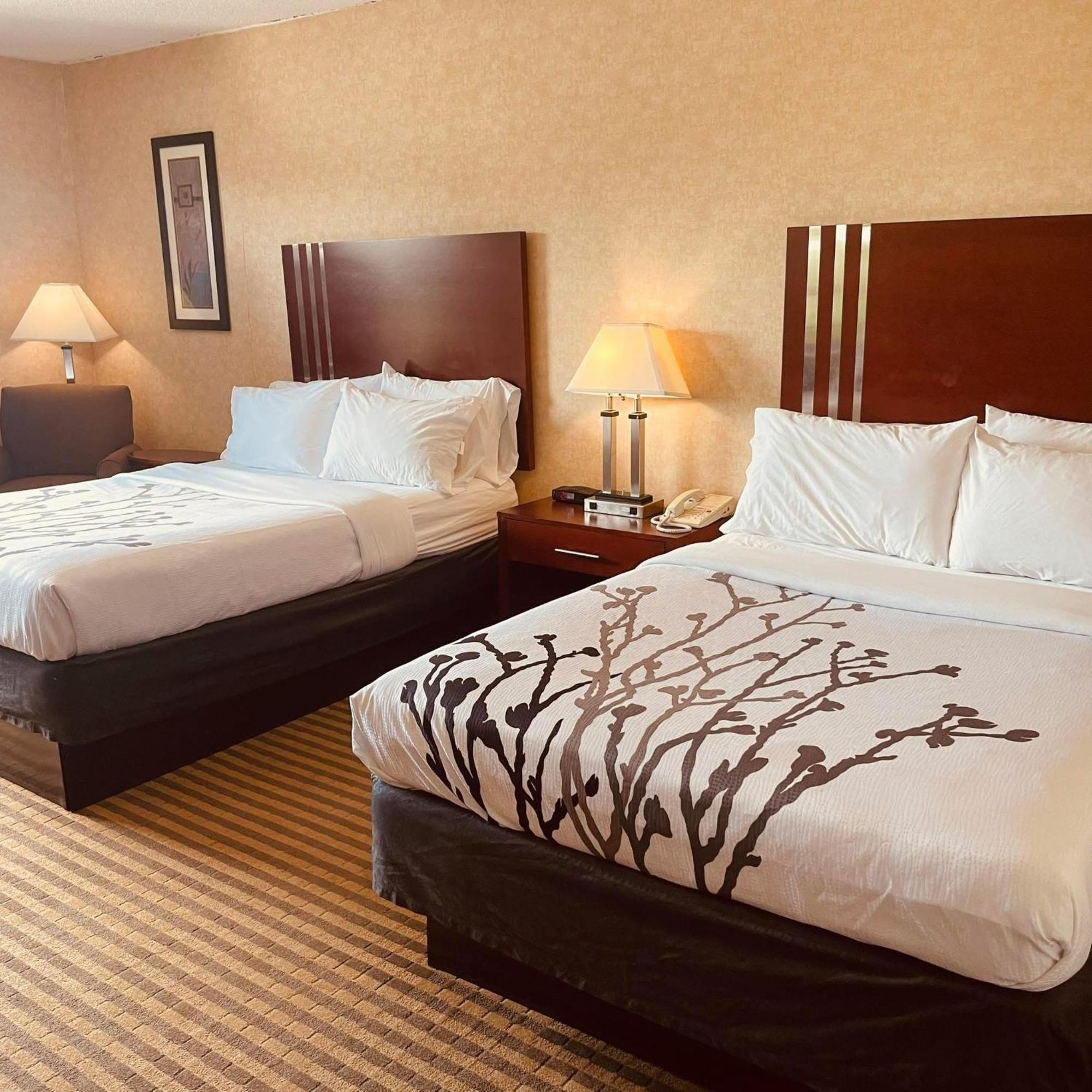 Standard Double Room with City View