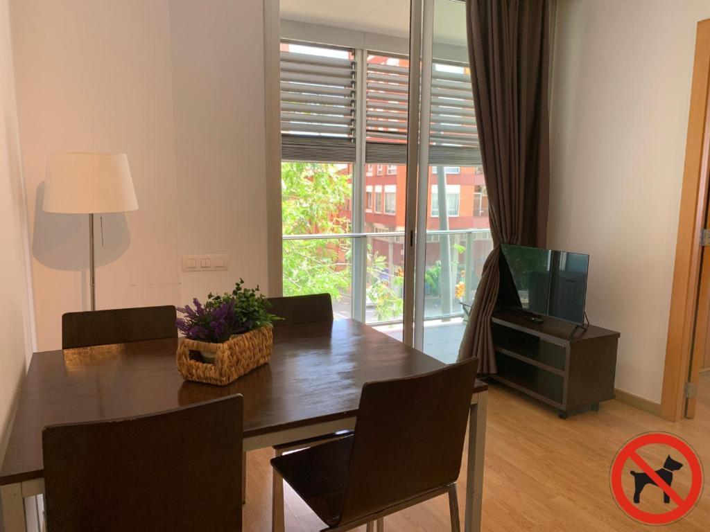 Appartamento con 1 Camera da Letto e Terrazza