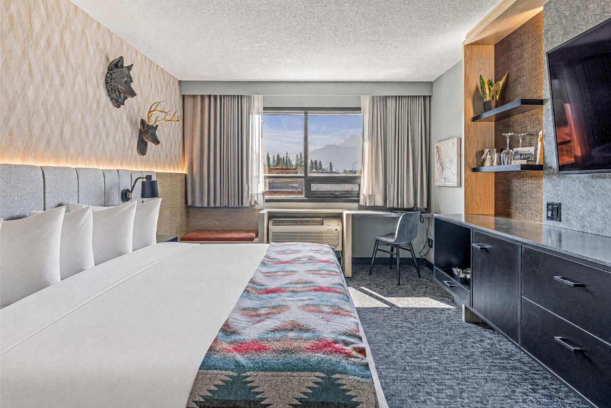 King Room Spa Not Not Pet Friendly