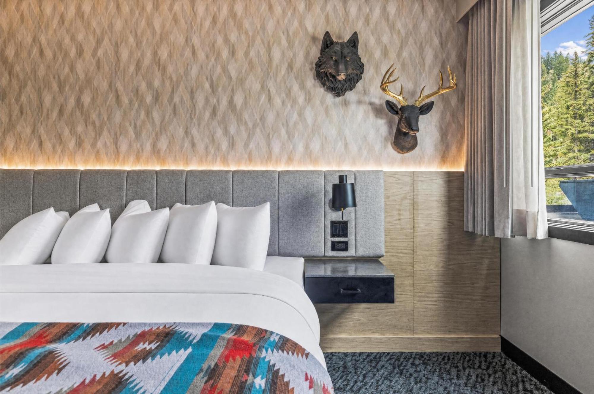 King Suite Spa Not Not Pet Friendly