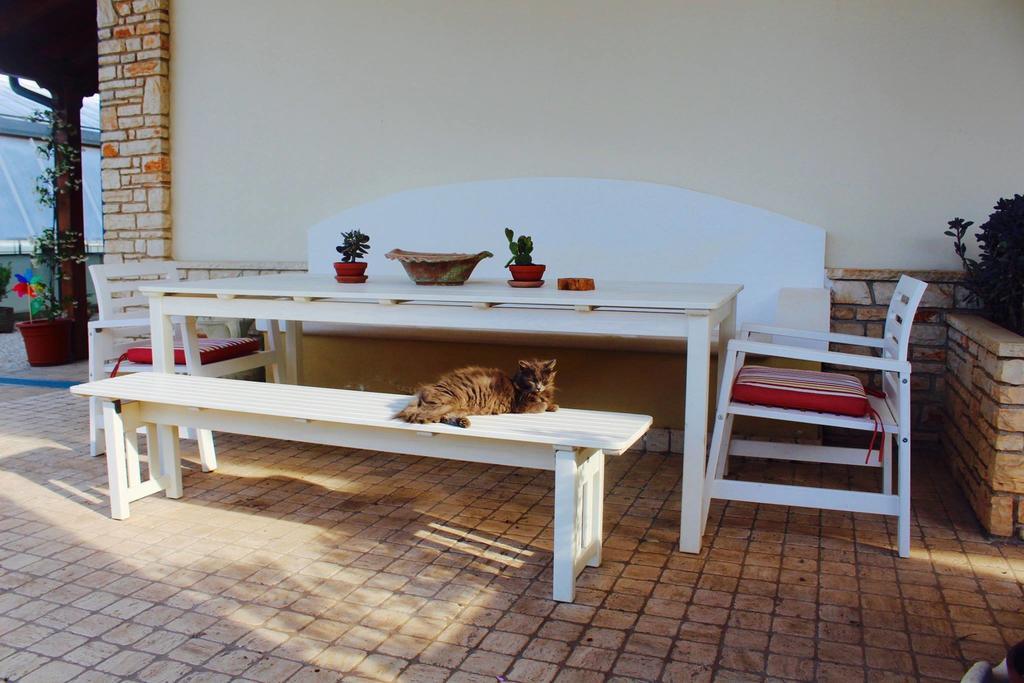 Double Room,238881009:JPEG