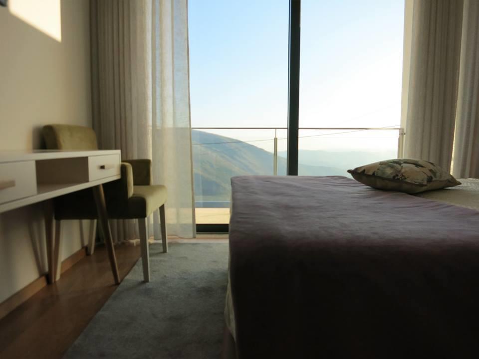 Double Room Mountain View