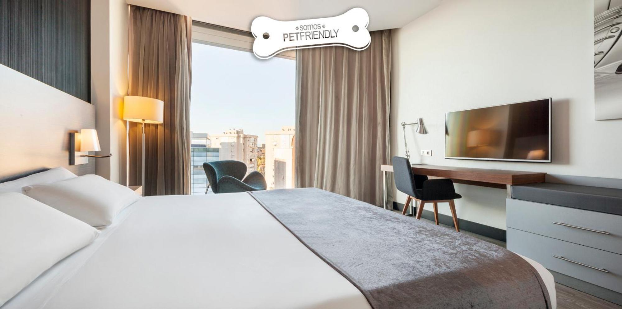 Standard Double Room Pet Friendly