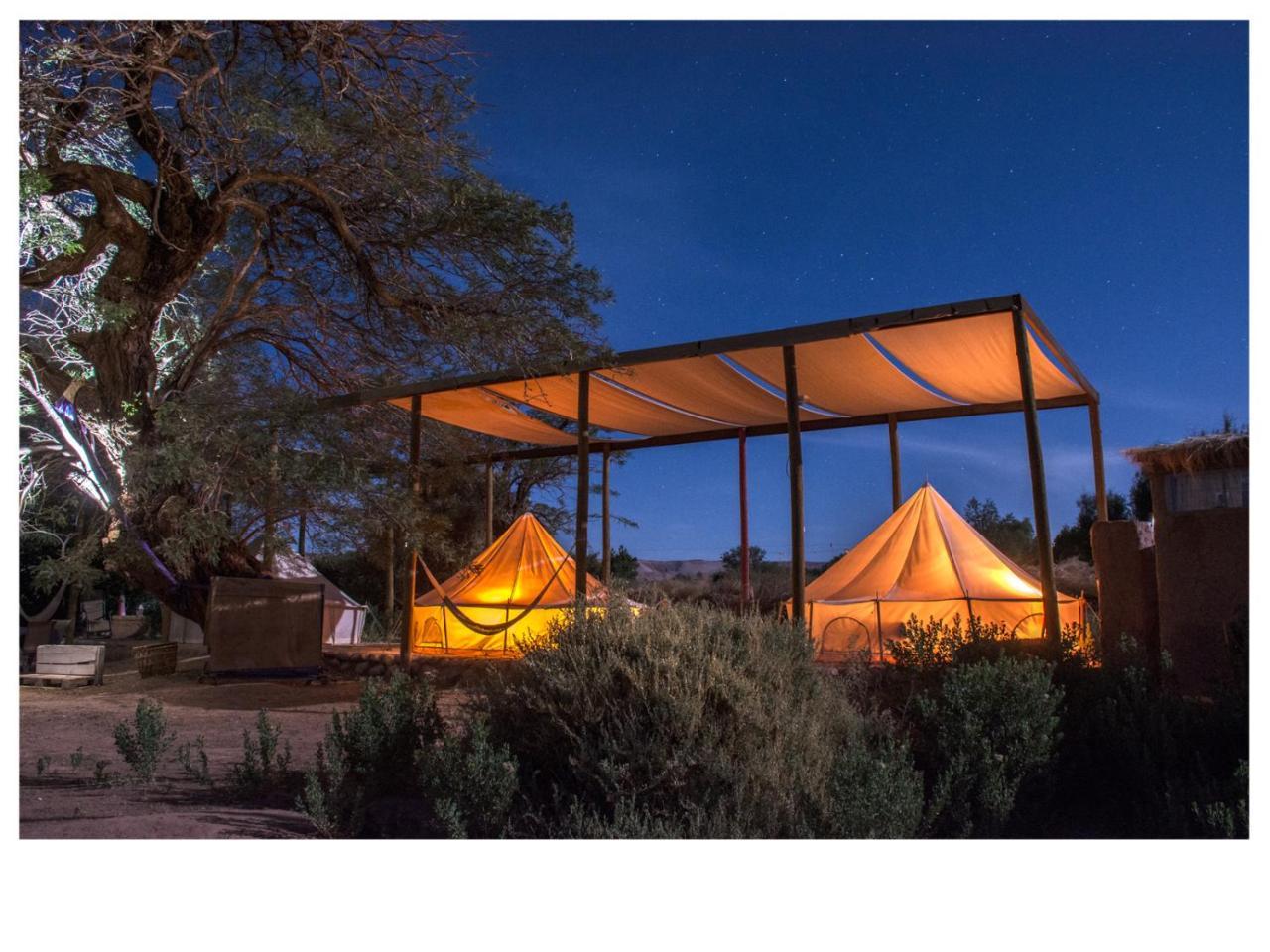 Tent,766469479:JPEG