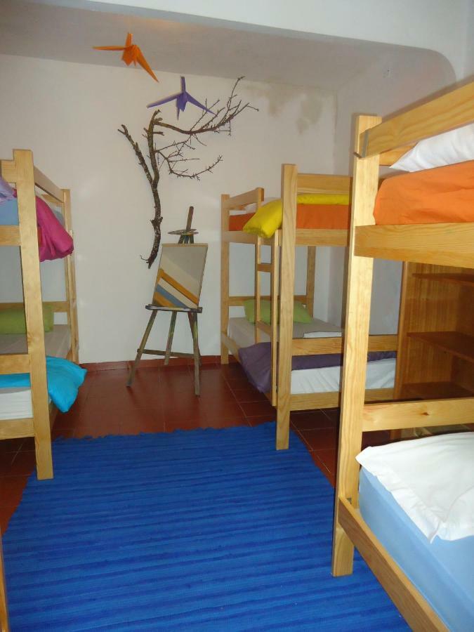 Bunk Bed Mixed Dormitory Room
