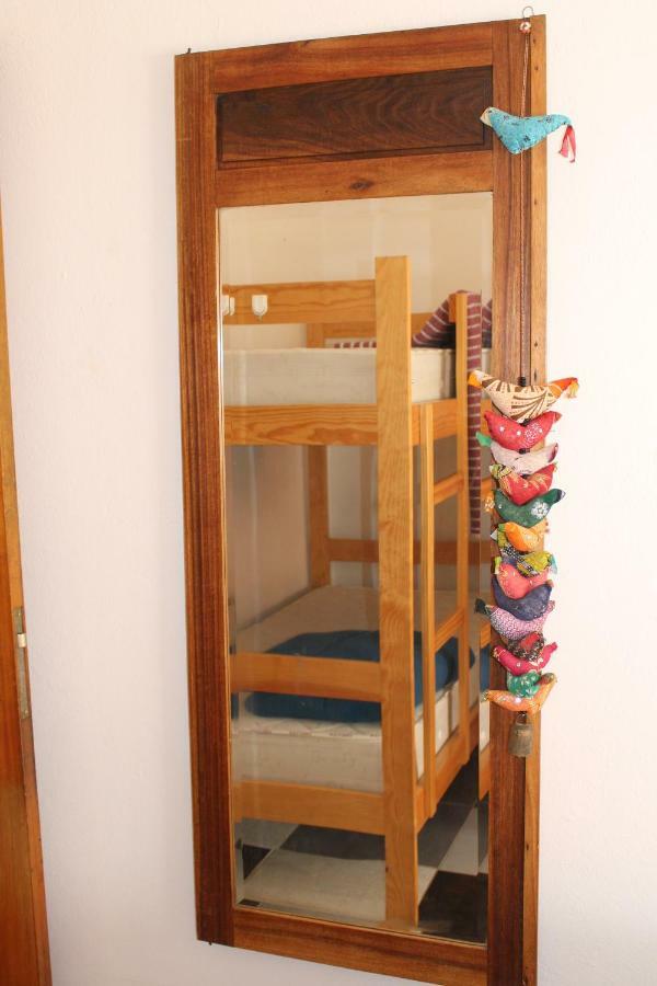 Bunk Bed Mixed Dormitory Room