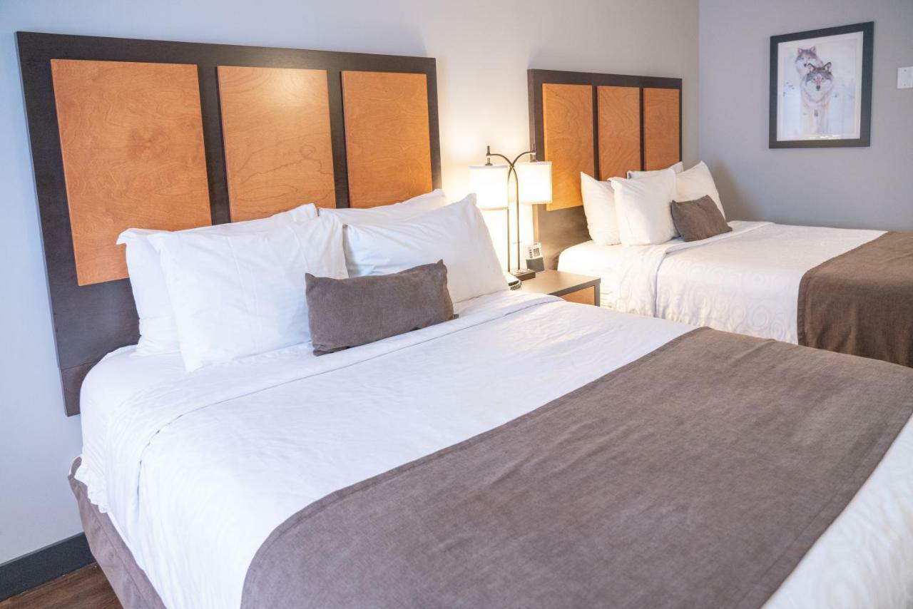 Superior Room 2 Queen Beds