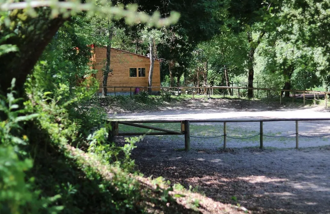 Quinta Do Castro Wood House-1