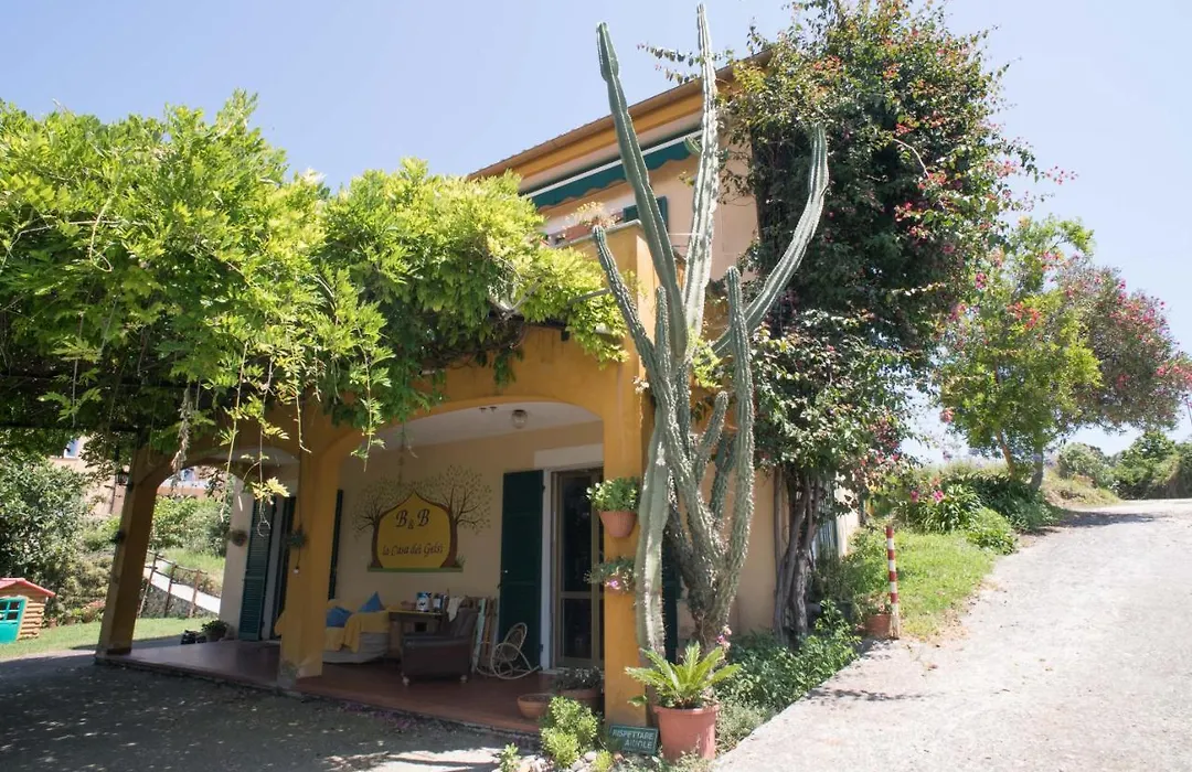 B&B La casa dei gelsi-1