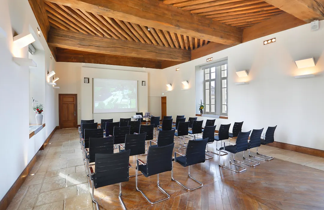 Chateau De Pizay-1