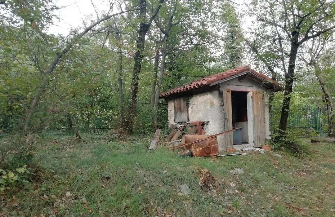 La casetta nel bosco-1
