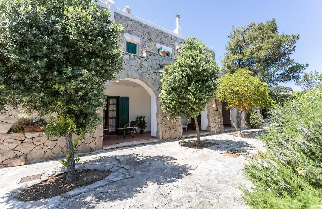 Il Posto Delle Fragole-1