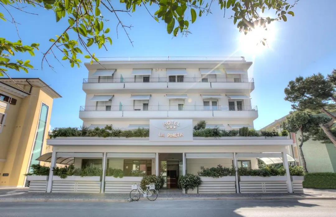 Hotel La Pineta-1