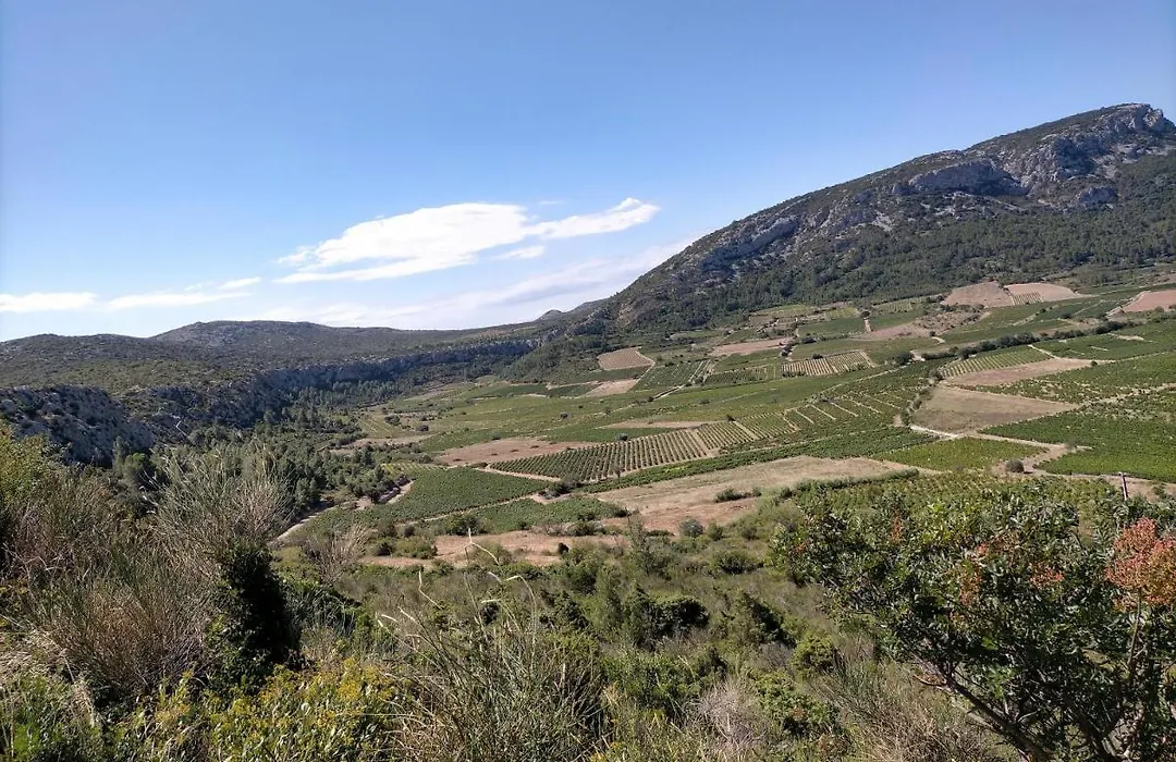 Mas des Marbres Sauvages dans un parc immense à 10mn de la plage-1