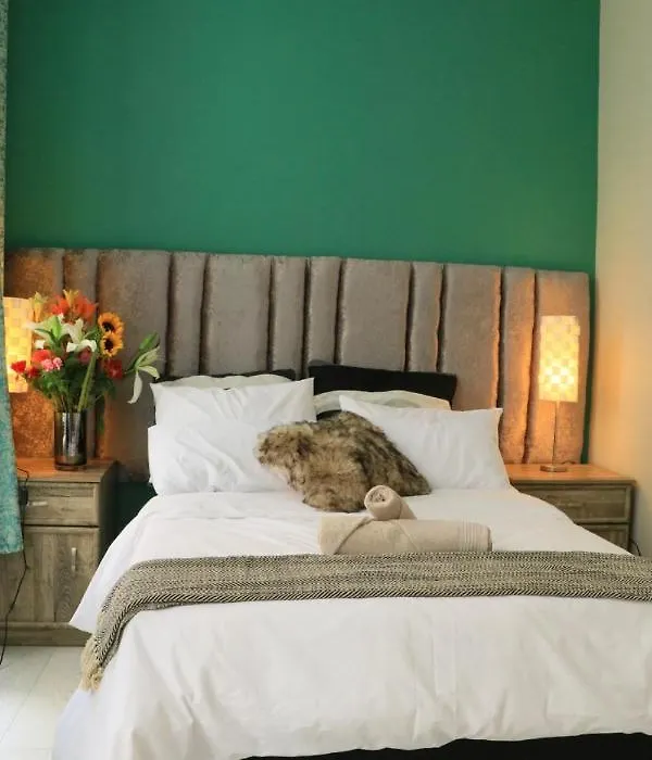 Rio Guest House-1