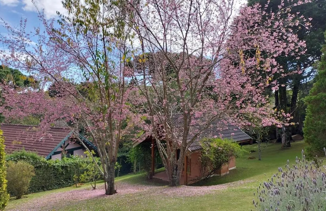 Casa com espaço de sobra!-1
