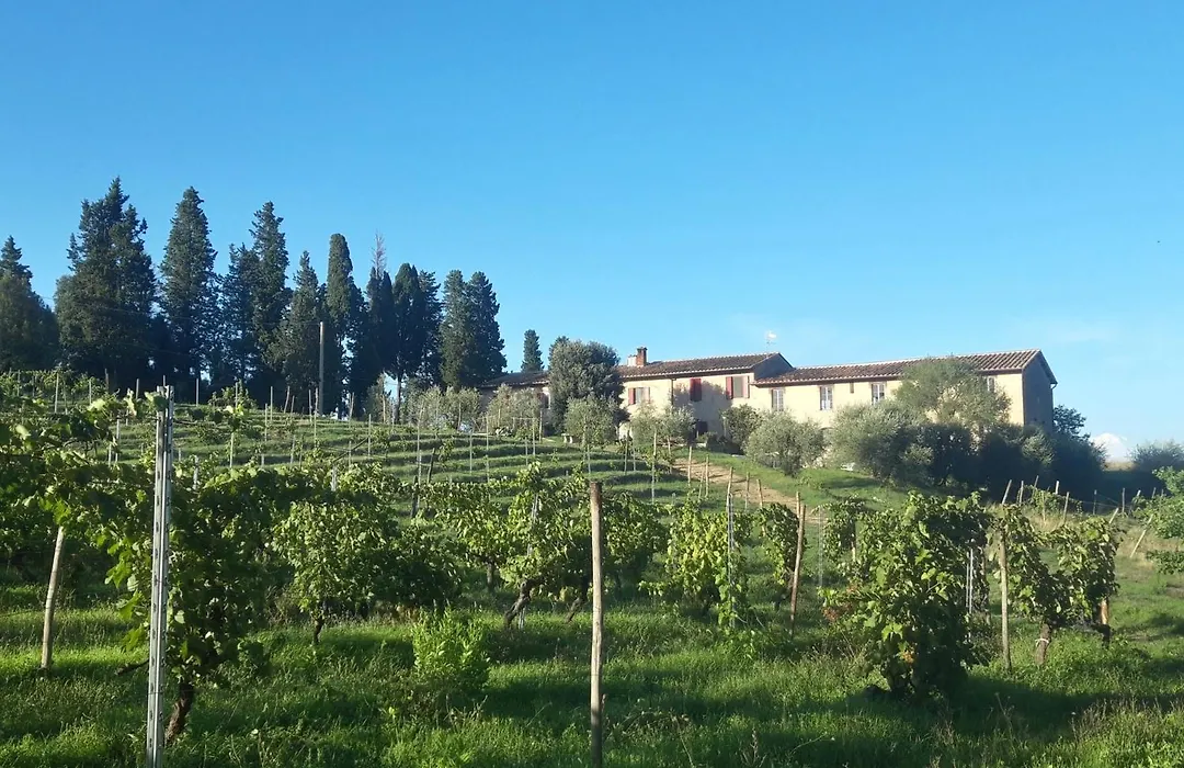 Agriturismo Fattoria le caprine-1