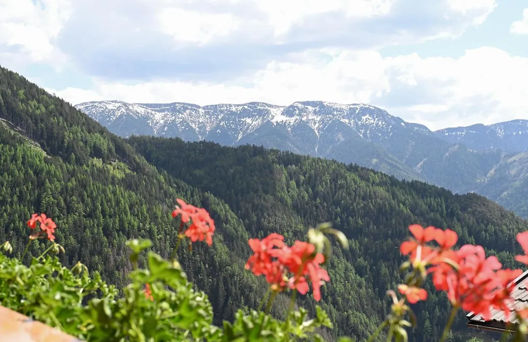 Gasthof Jaegerheim-1
