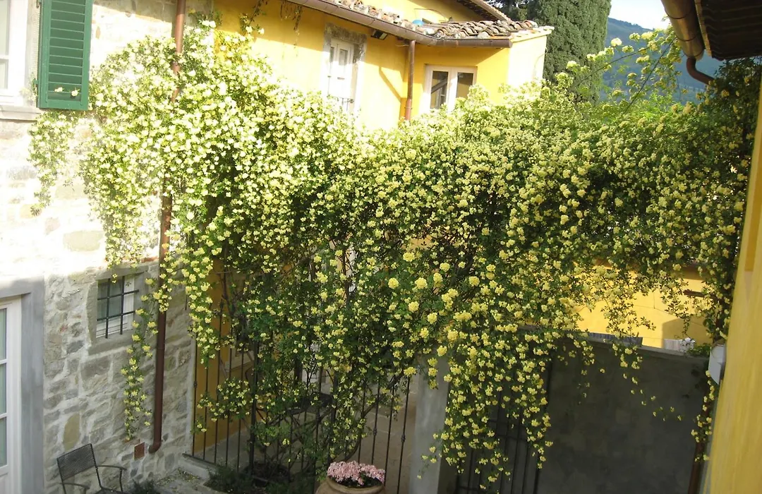 Agriturismo Villa Di Campolungo-1