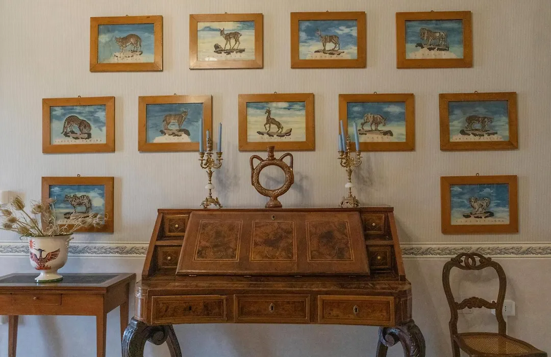 Villa Fenicia-1