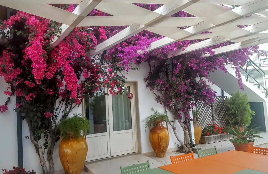 Agriturismo Donna Clementina-1