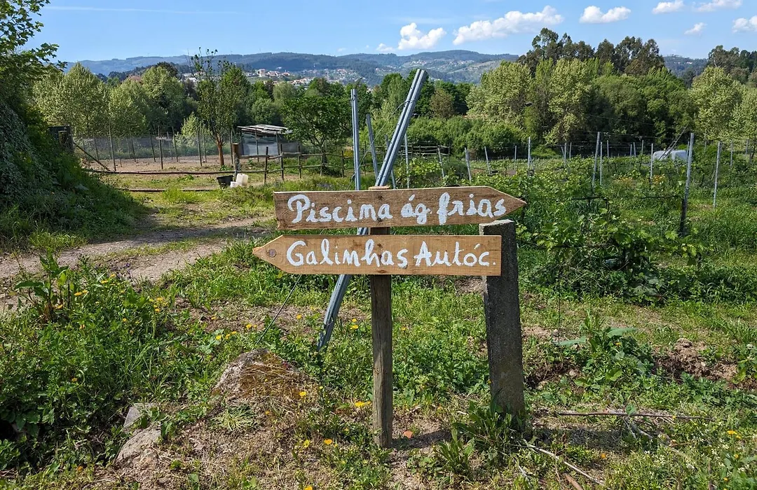 Quinta Da Lage Agroturismo E Enoturismo-1
