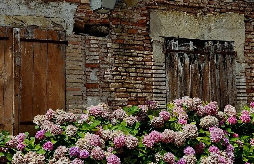 La Cour Verte-1